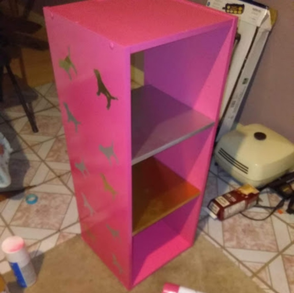 Victoria's Secret pink themed display Shelf
